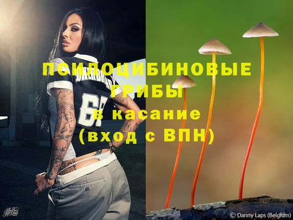 молекула духа Алексеевка