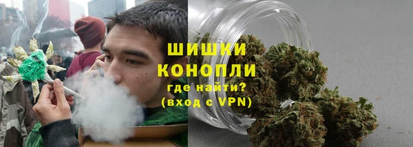 шишки Алексин