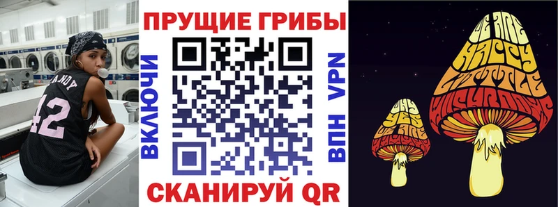 Псилоцибиновые грибы Magic Shrooms  Дубна 